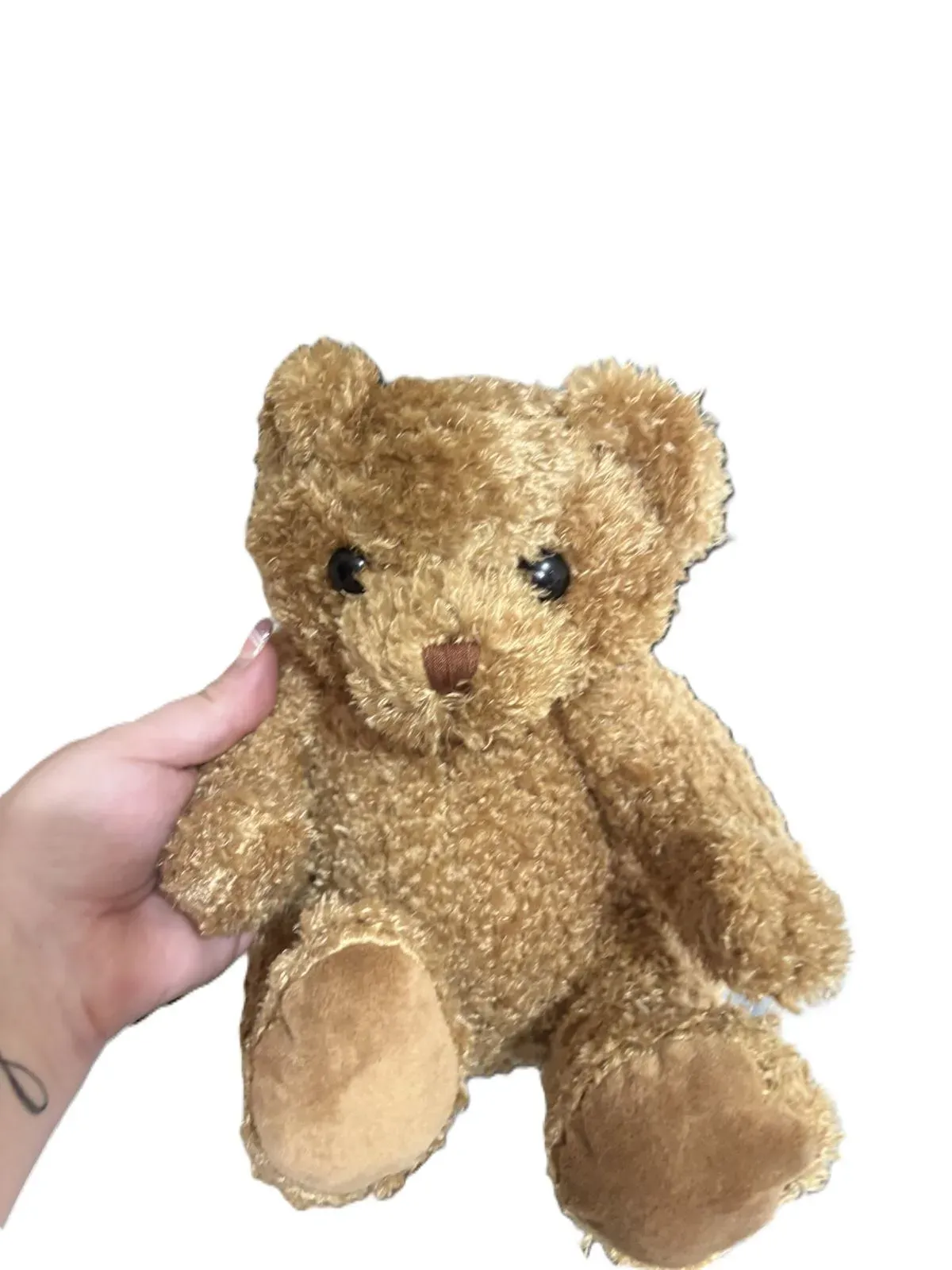 corse bear thumbnail image
