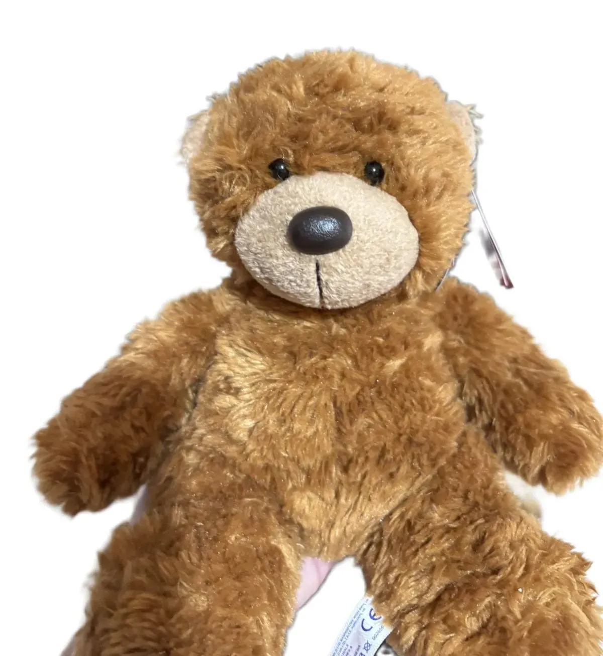 small bear thumbnail image
