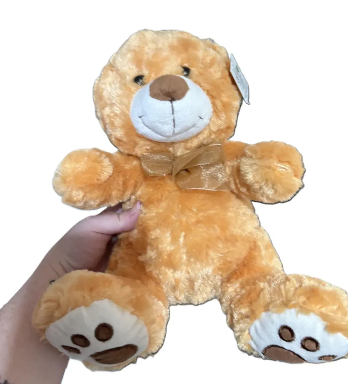 tan brown bear thumbnail image