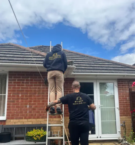 Bird proofing image