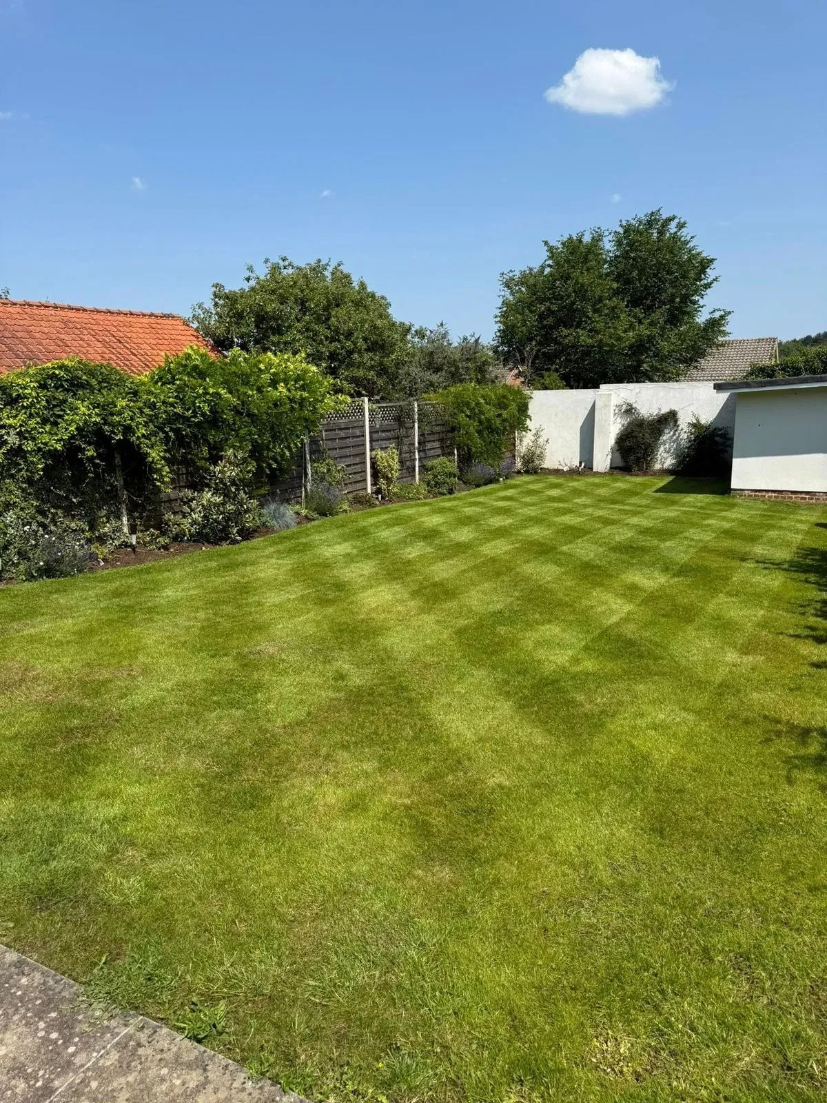 General Garden Maintenance image background image