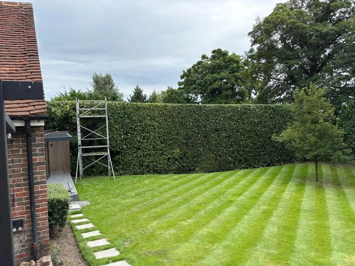 Hedge Trimming image background image