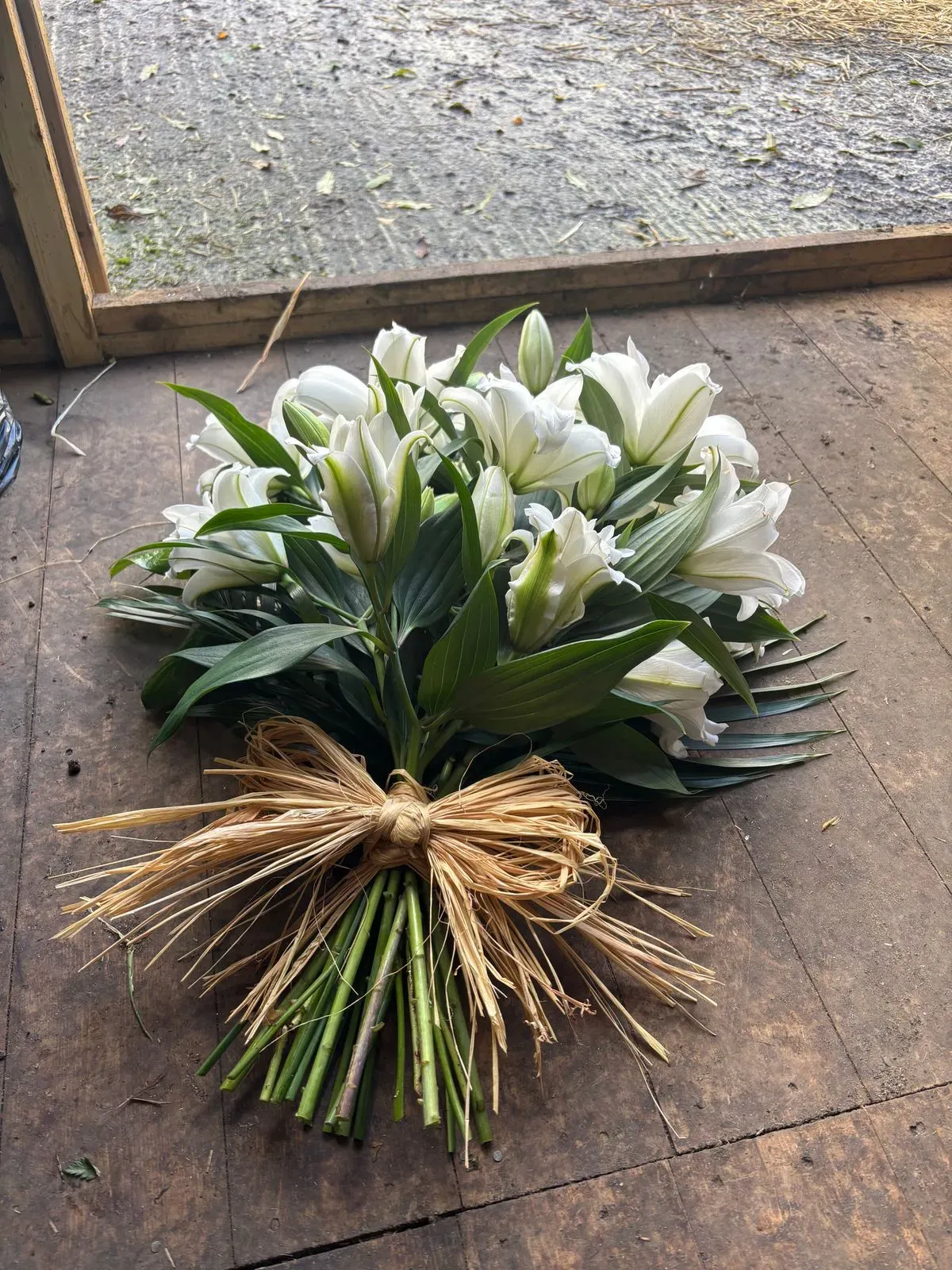 Gallery image 10