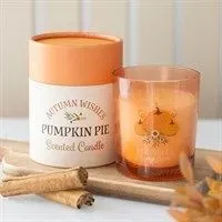 8212518595354-jmaf8krtmvm7qgx3ju56xi-pumpkin-pie-candle thumbnail image