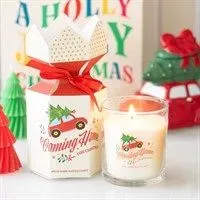 8212518643647-oywlllt5l6qnbatmcp54o-spiced-berry-candle thumbnail image