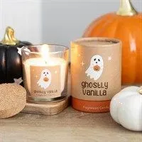 8212519944427-1cxvdd3i7jthoq29e8b9z4g-ghostly-vanilla-candle thumbnail image