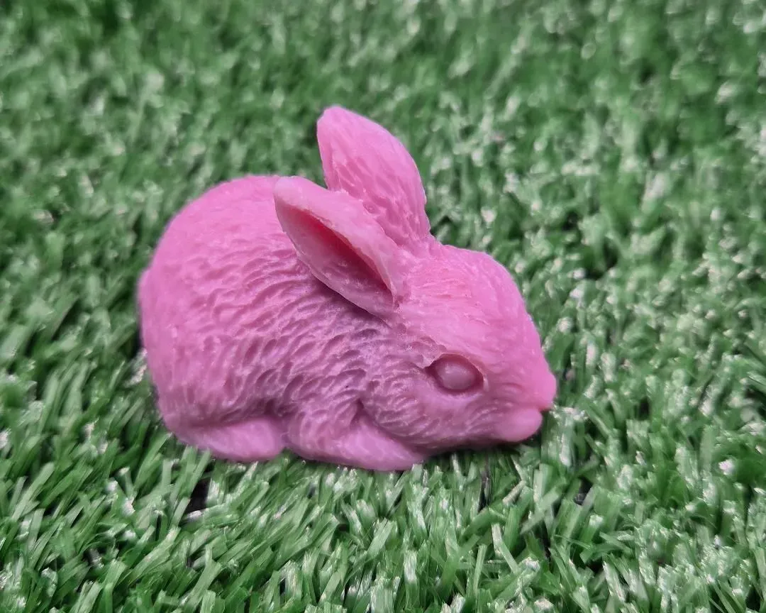 bunny thumbnail image