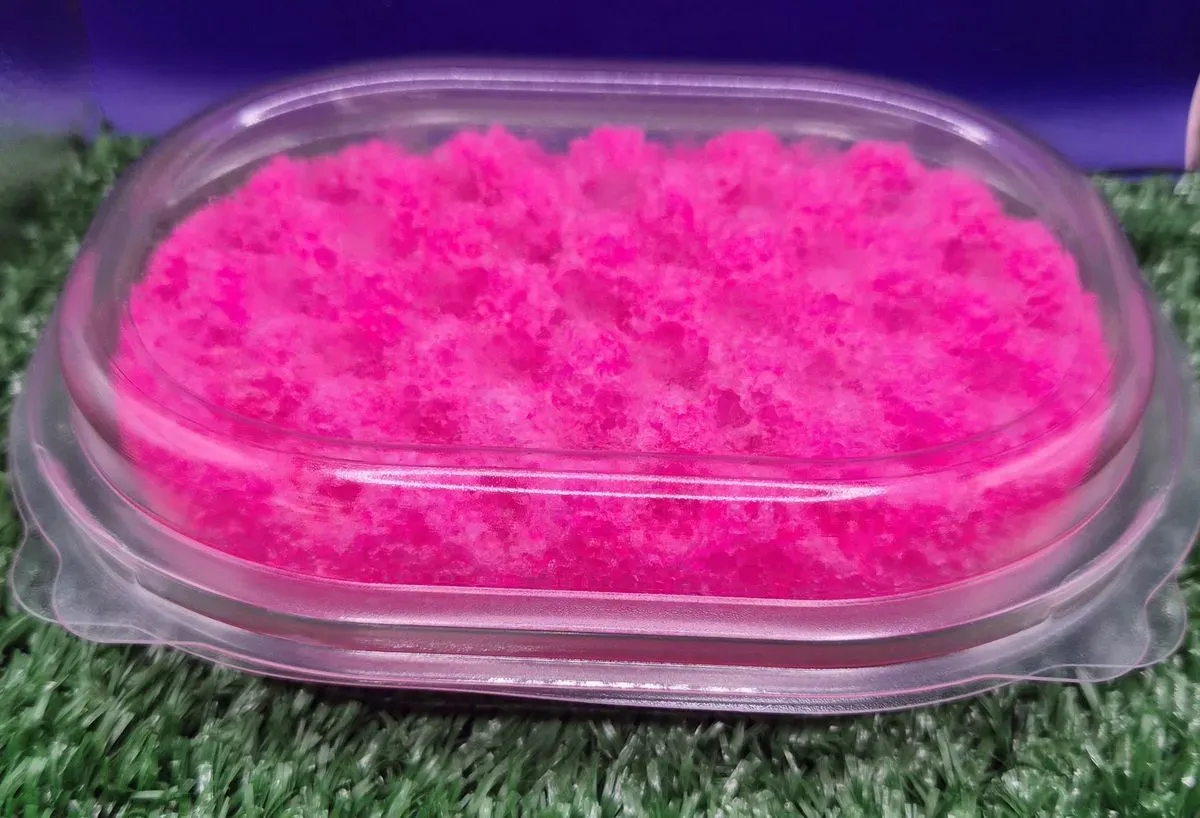 sponge thumbnail image
