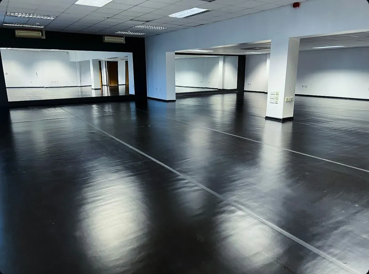 Dance Workshops and Classes