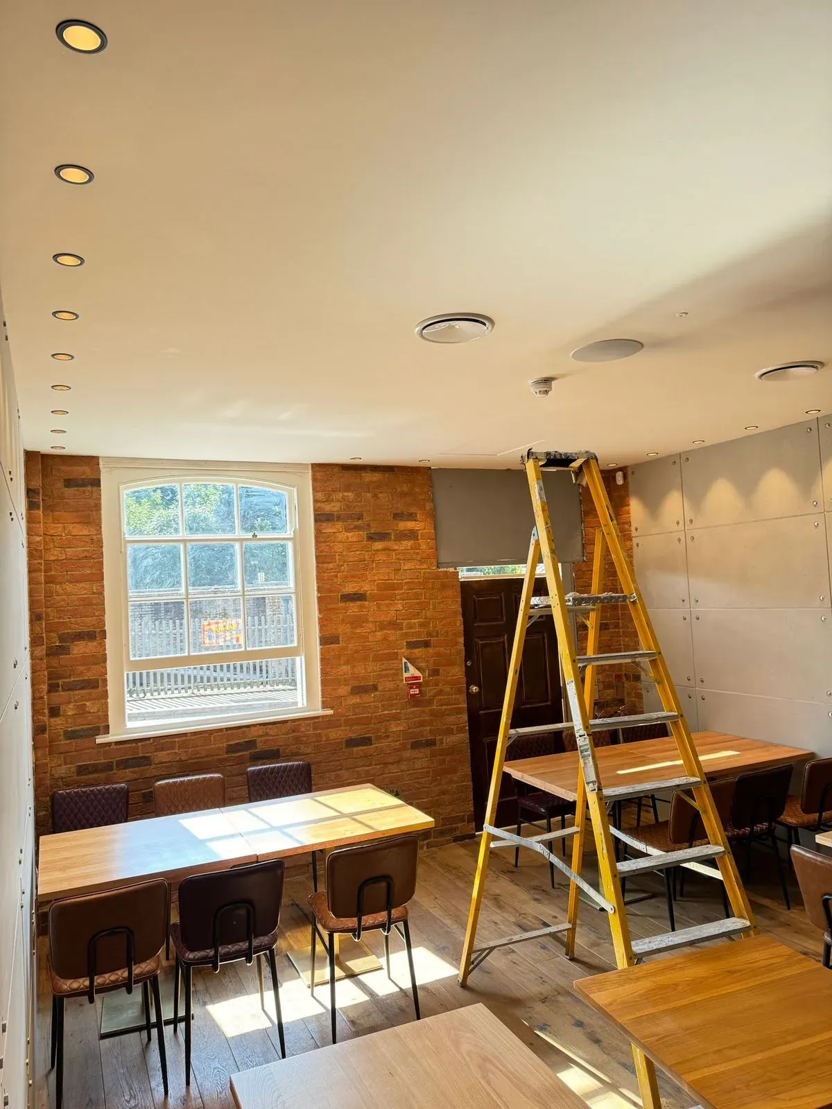 Ceiling Painting image background image