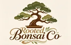 Rooted Bonsai Co