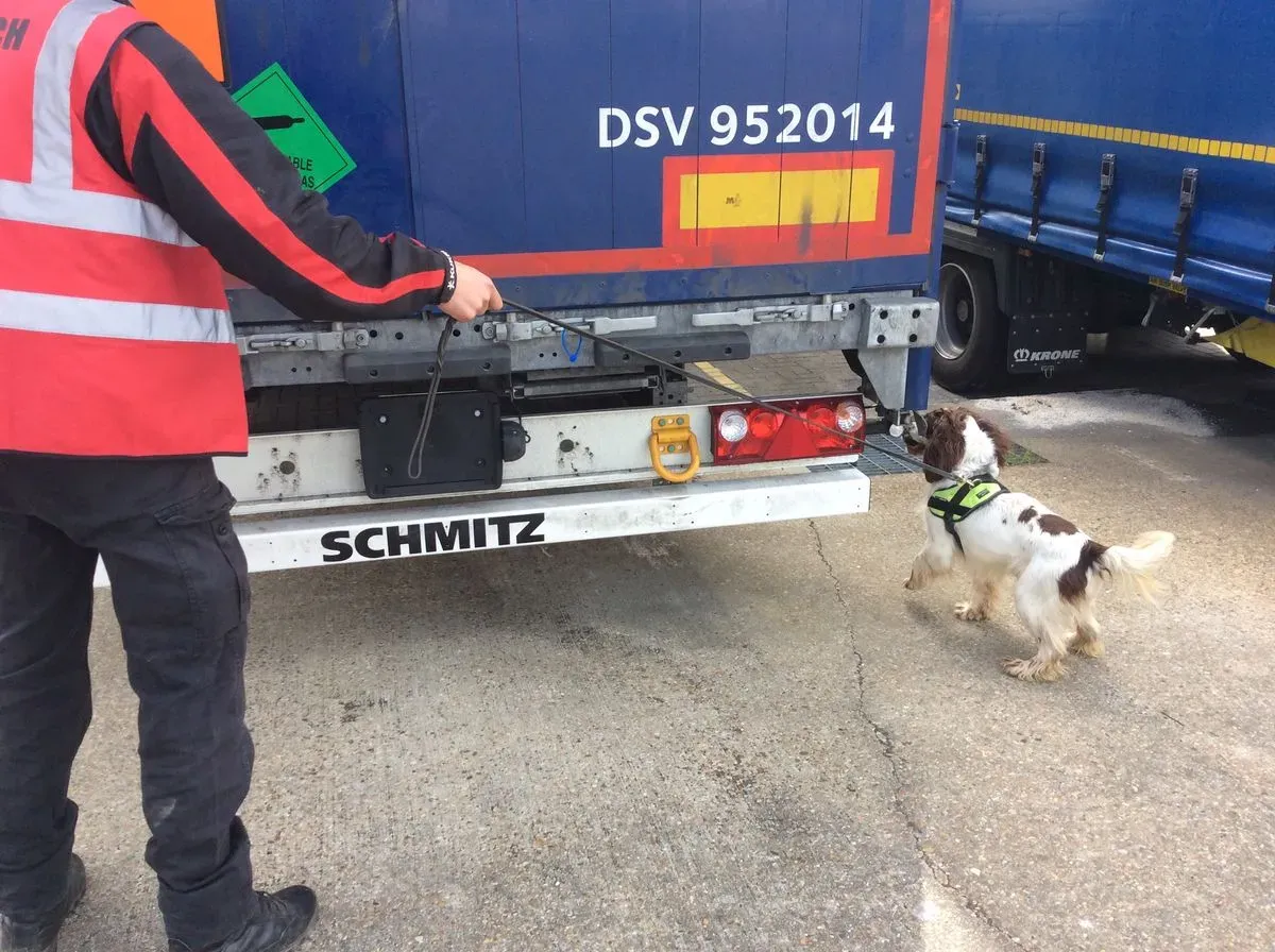 Descriptive text for the image