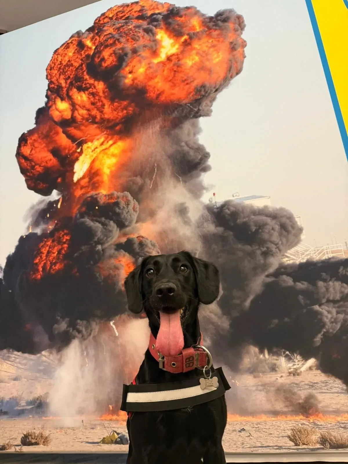 Descriptive text for the image