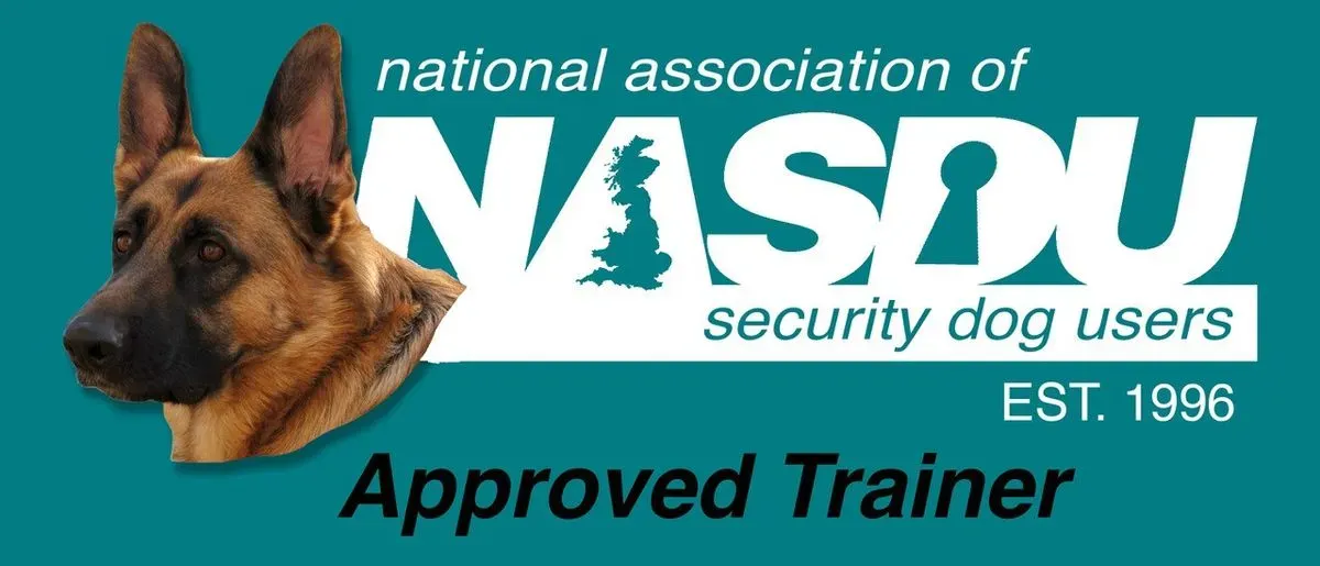 Descriptive text for the image