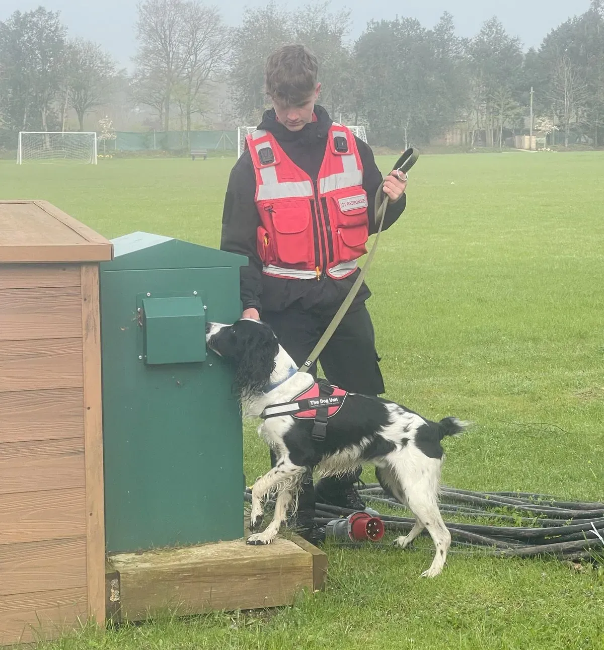 Descriptive text for the image