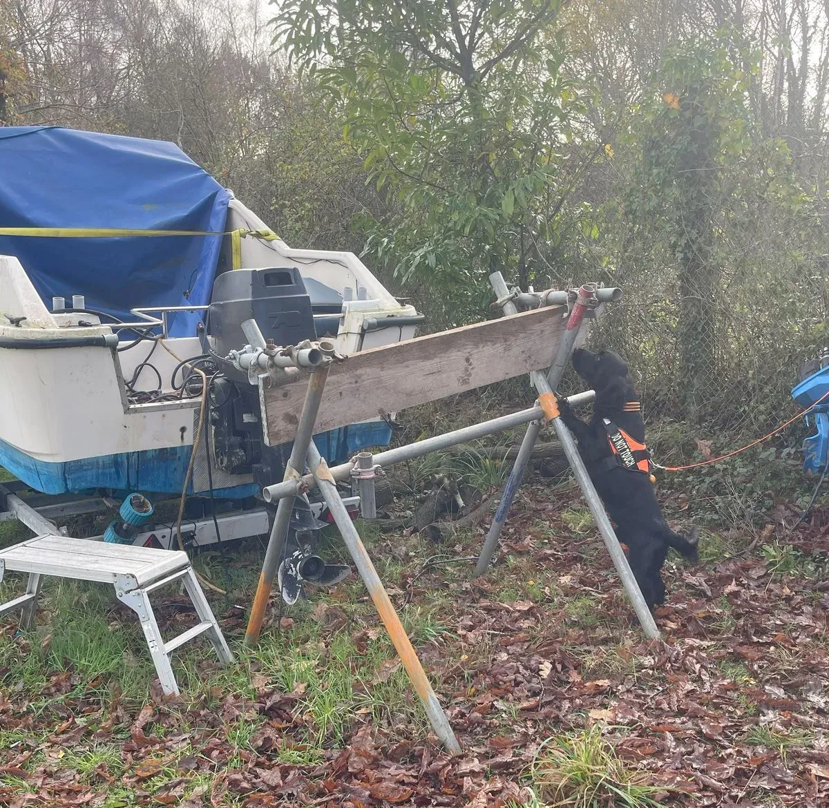 Descriptive text for the image