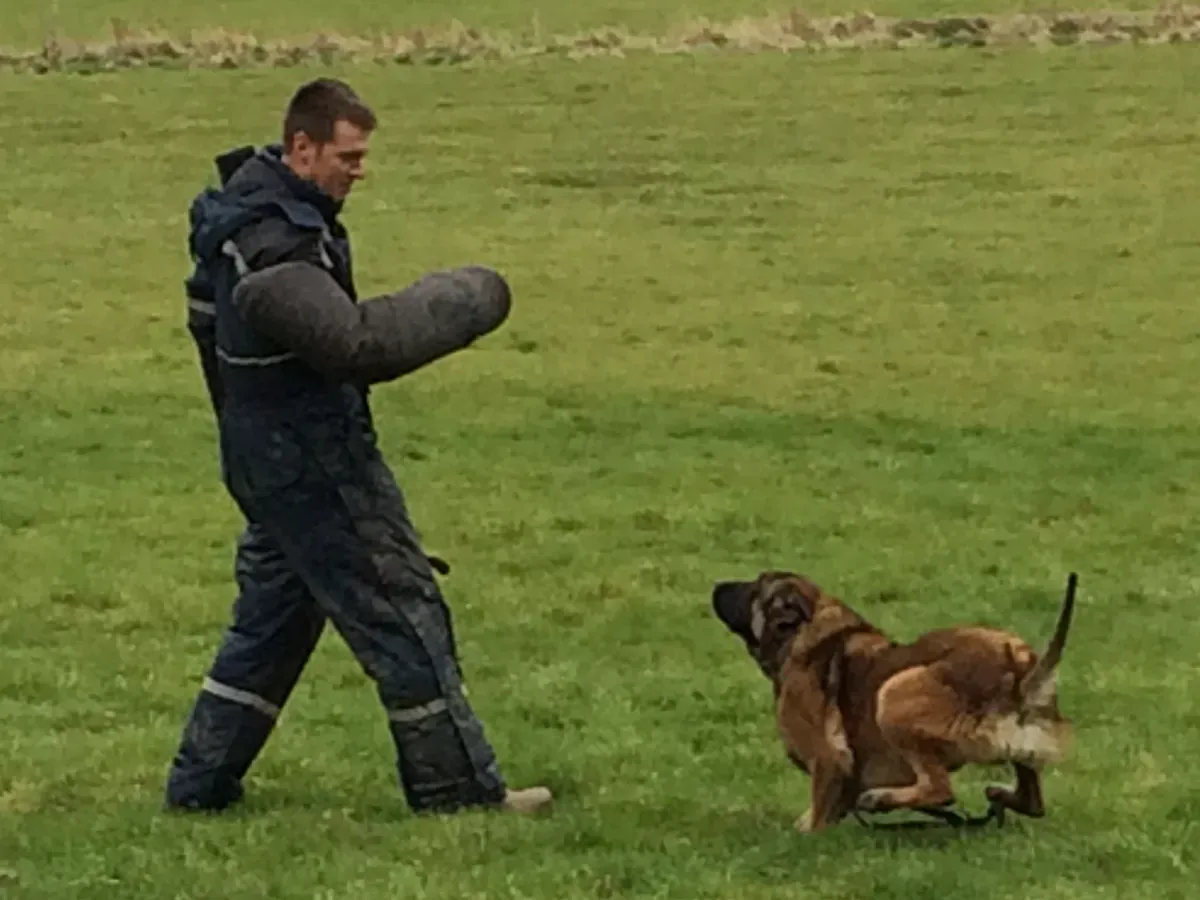 undefined background image