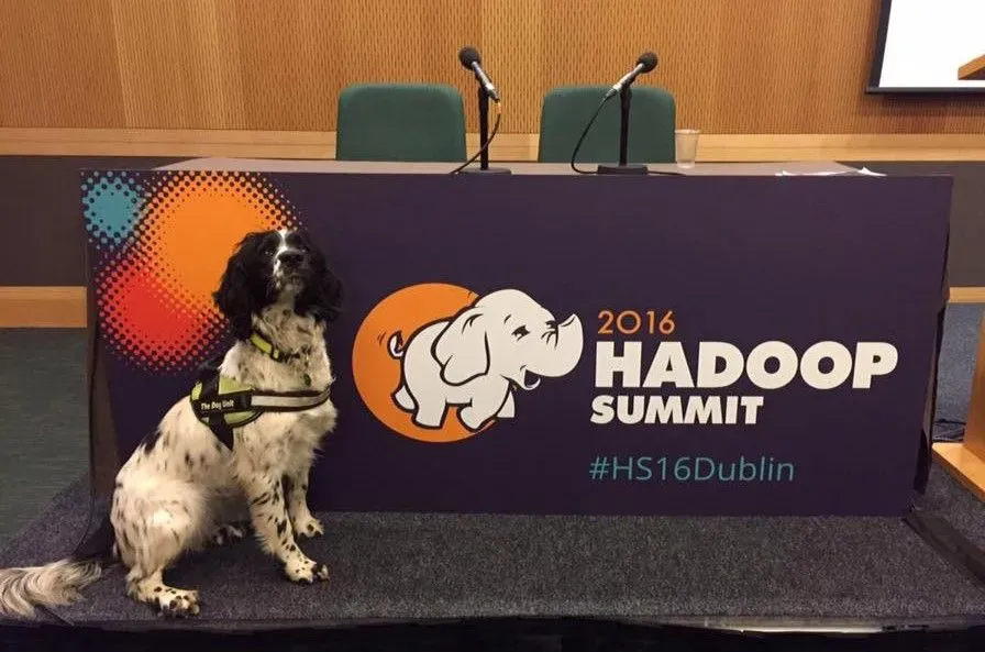 Descriptive text for the image