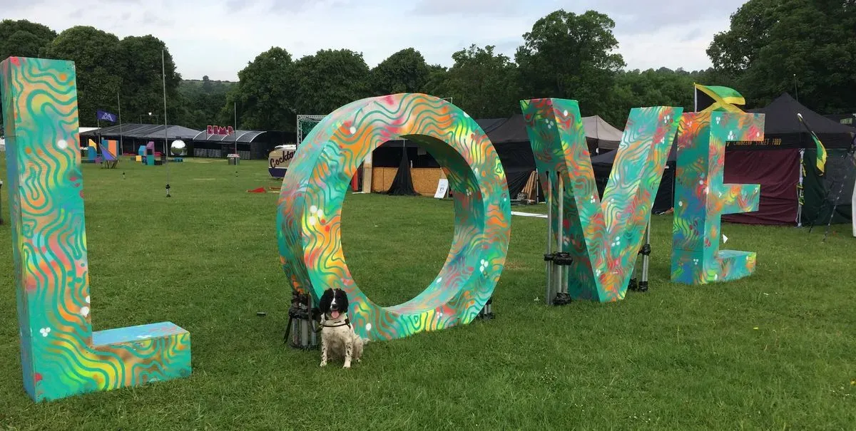 Descriptive text for the image