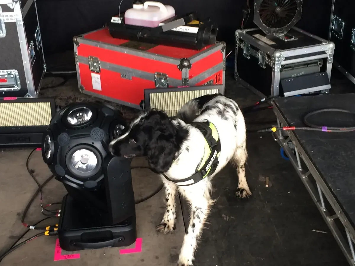 undefined background image