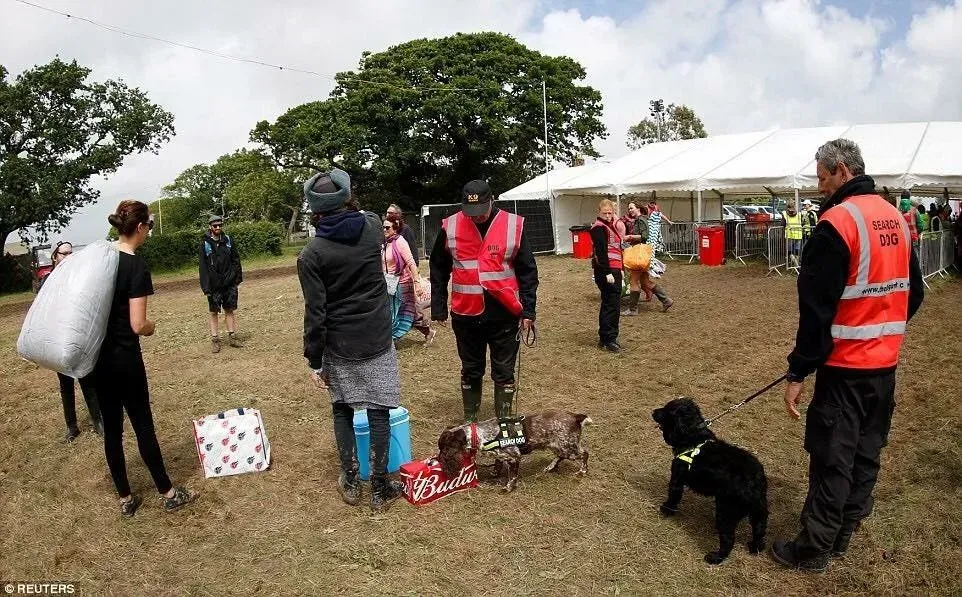 Descriptive text for the image