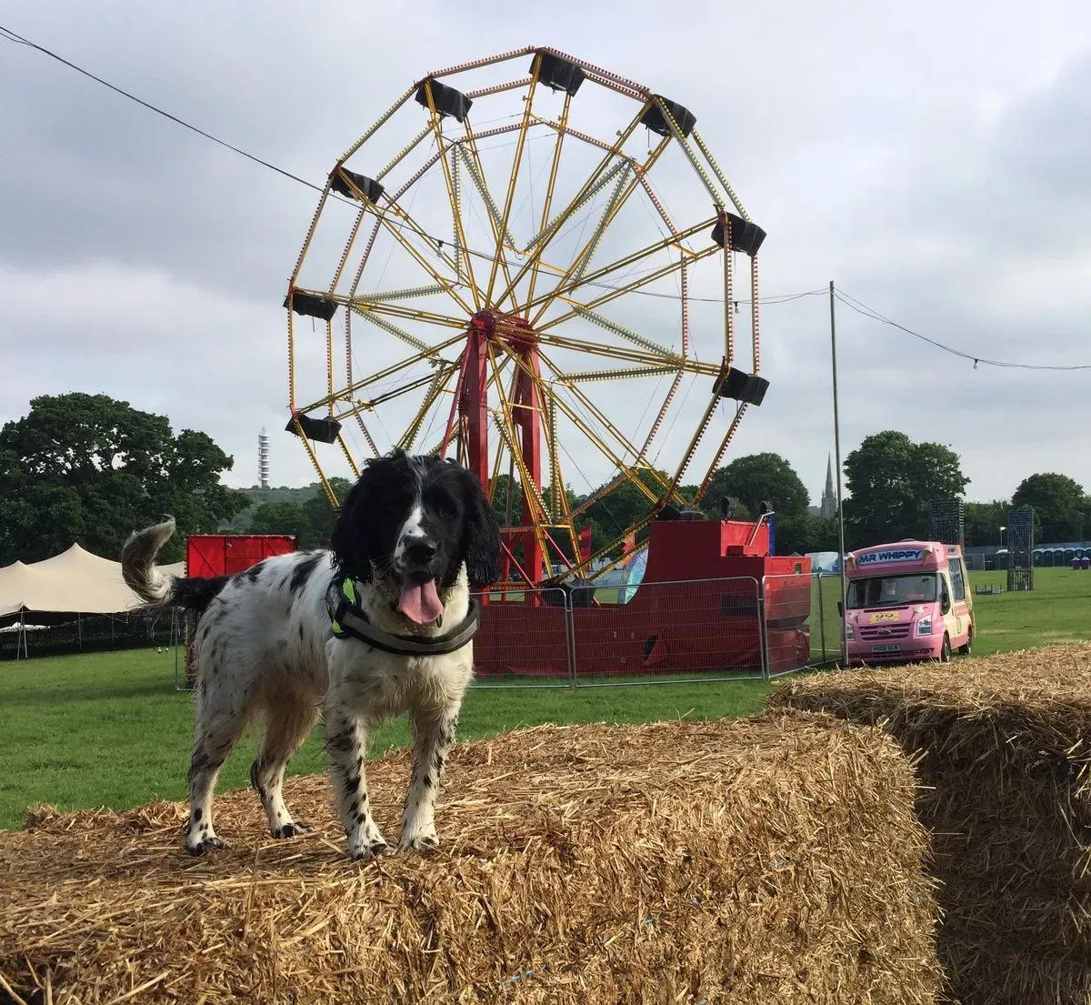 Descriptive text for the image