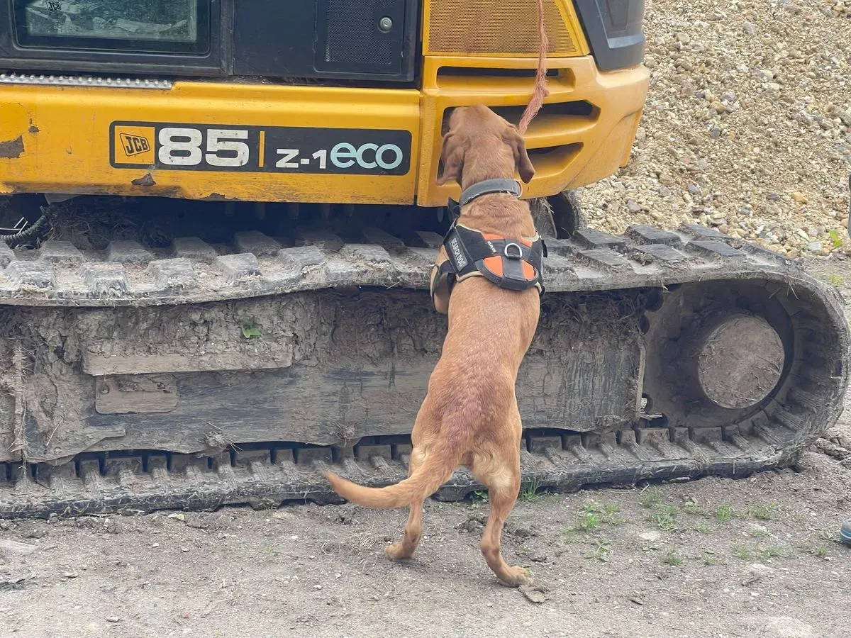 Descriptive text for the image