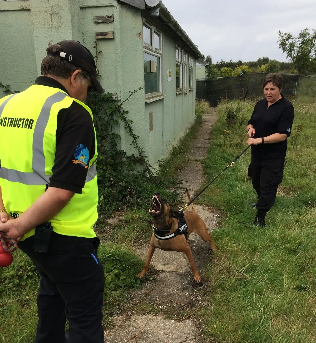 Descriptive text for the image