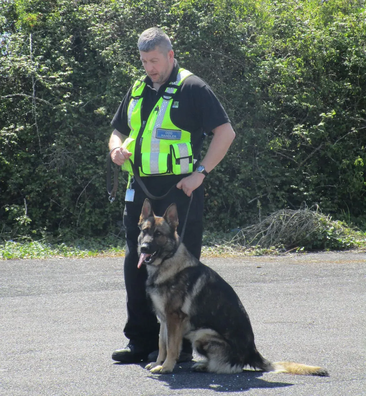 Descriptive text for the image