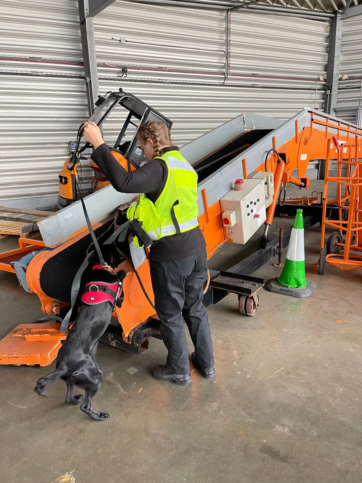 undefined background image