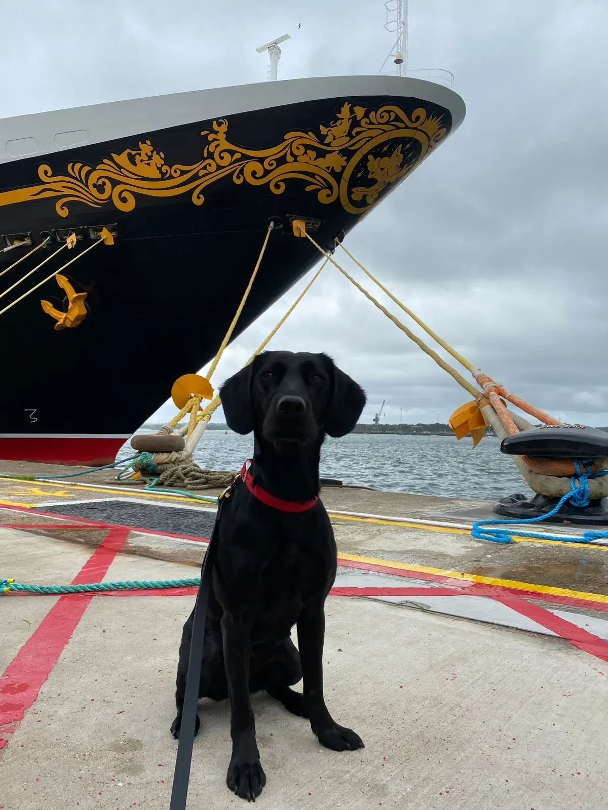 Descriptive text for the image