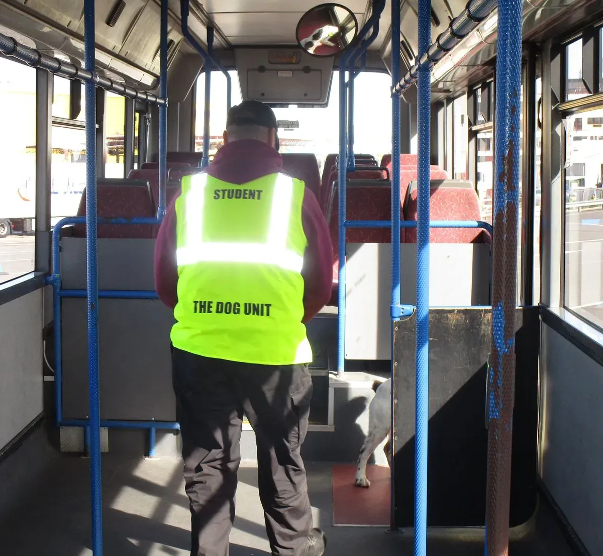 Descriptive text for the image