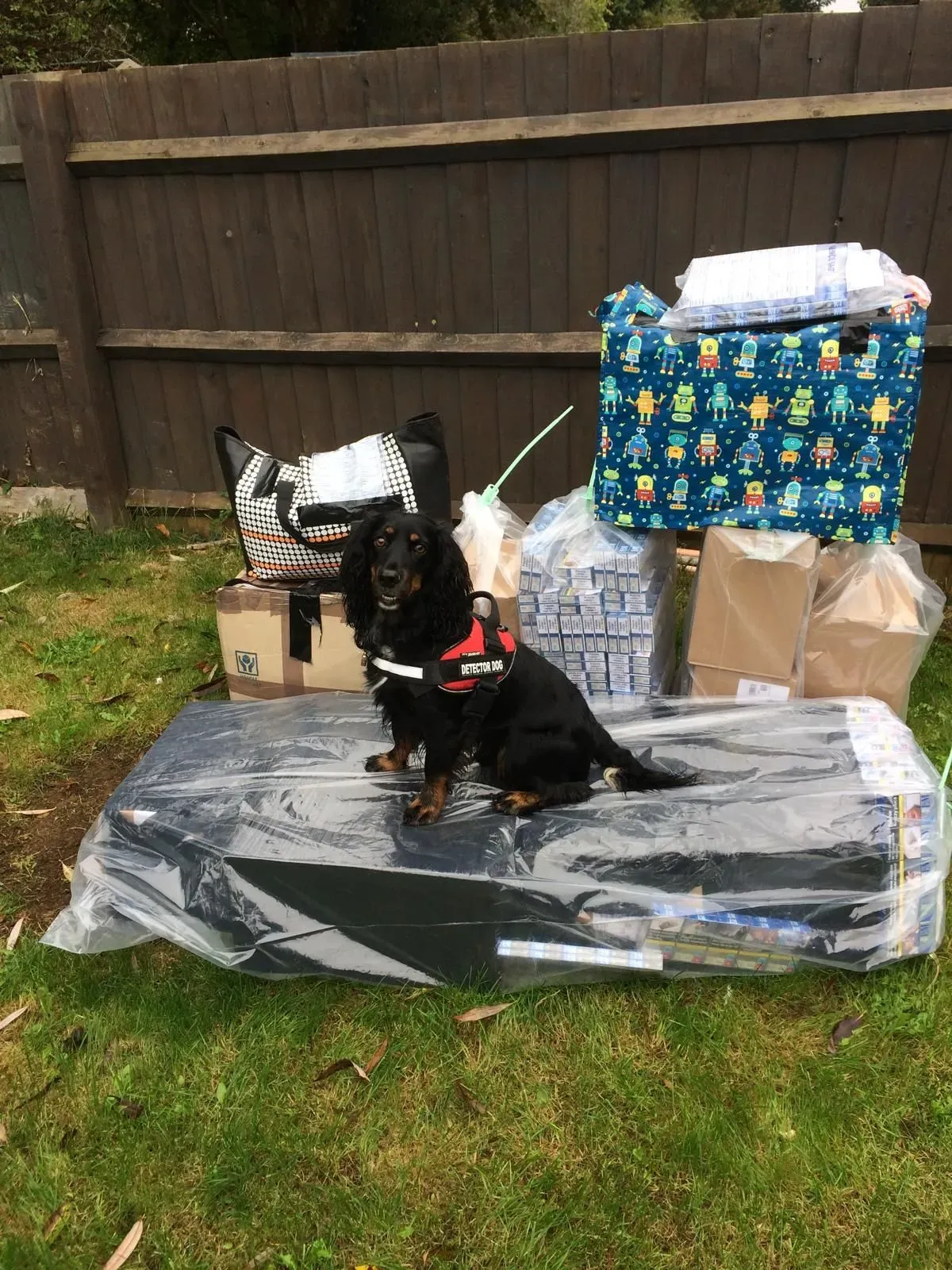 Descriptive text for the image