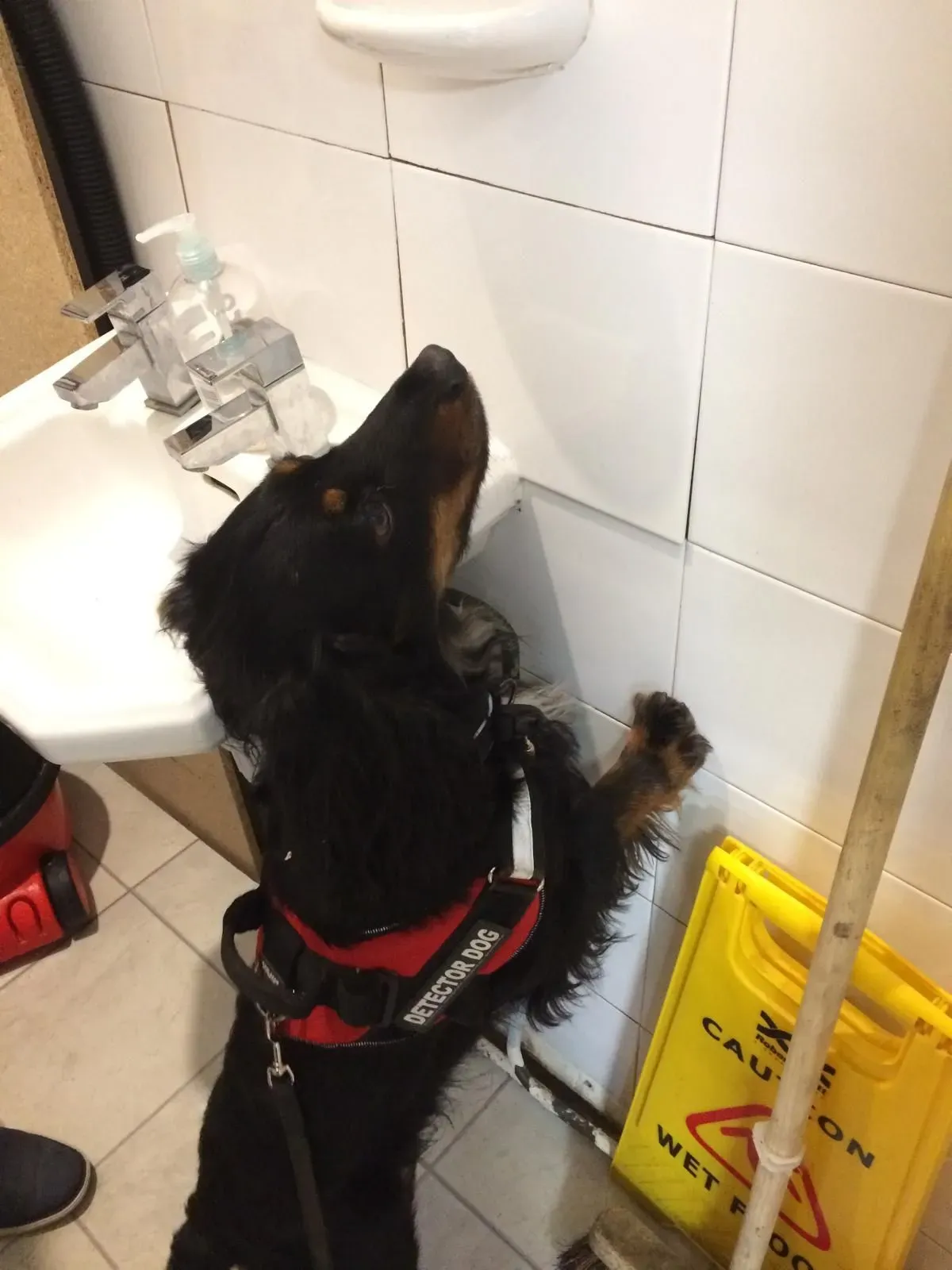 Descriptive text for the image