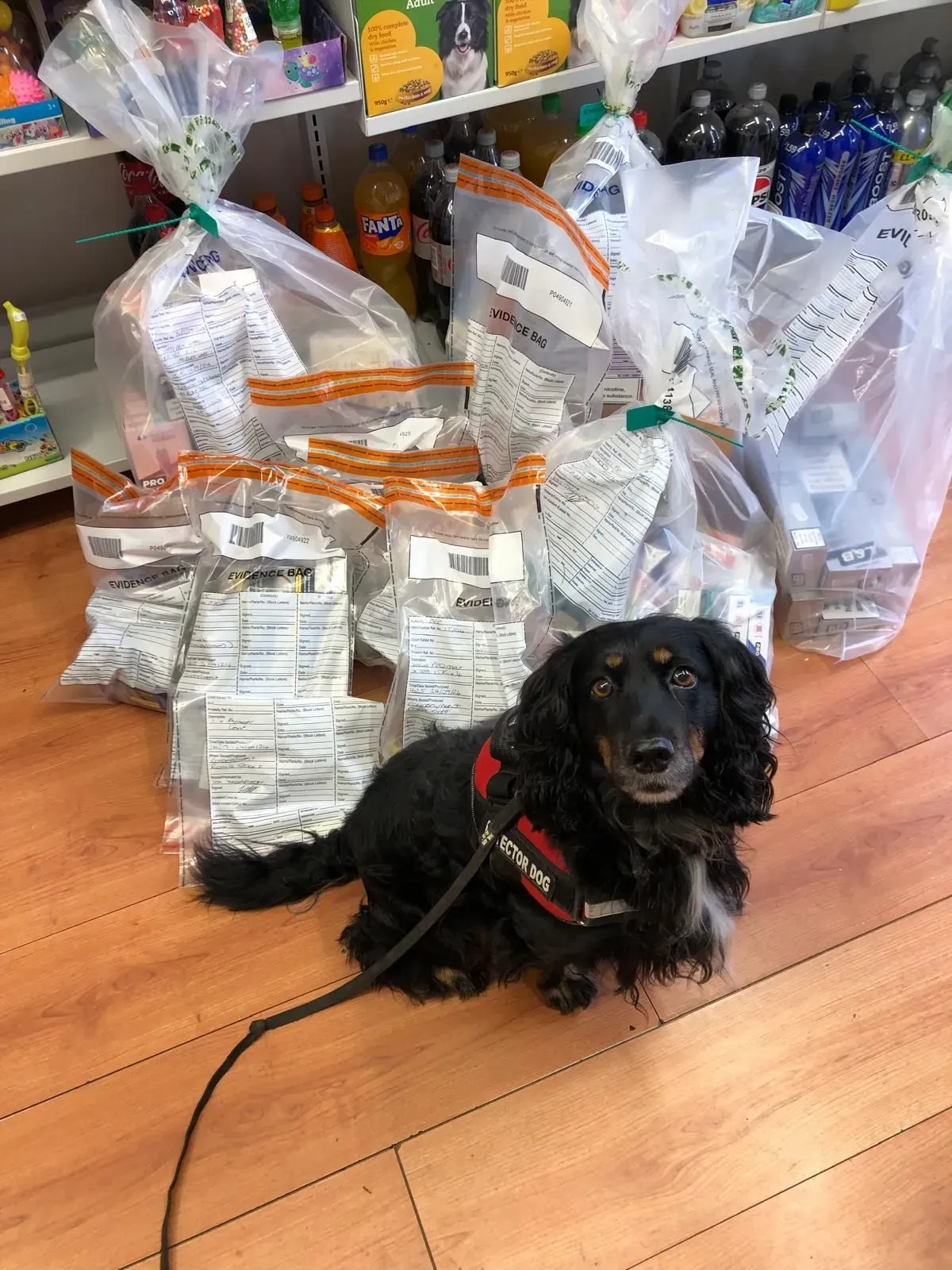 undefined background image