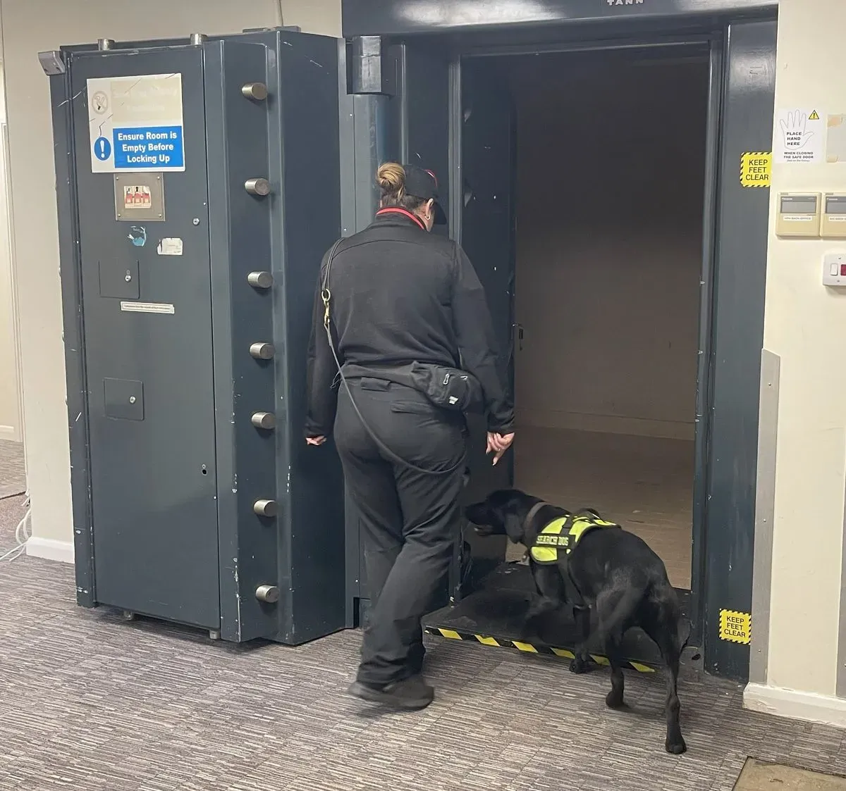 Descriptive text for the image