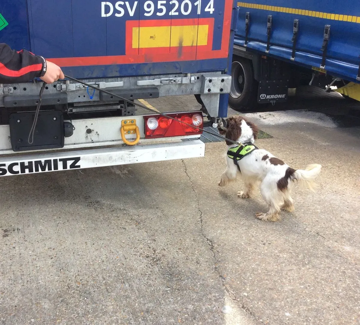 Descriptive text for the image