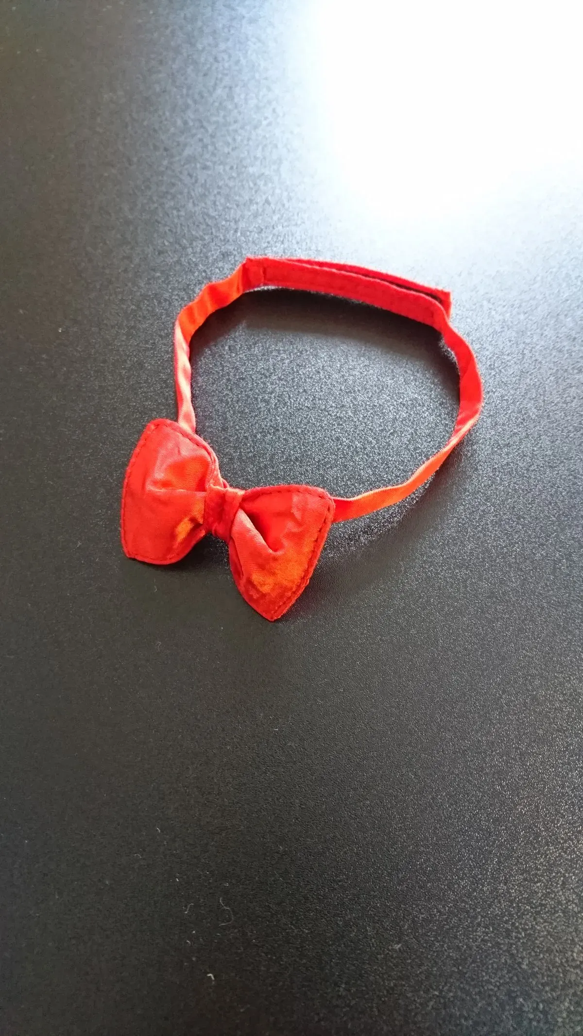 Golden retriever sitting on car 