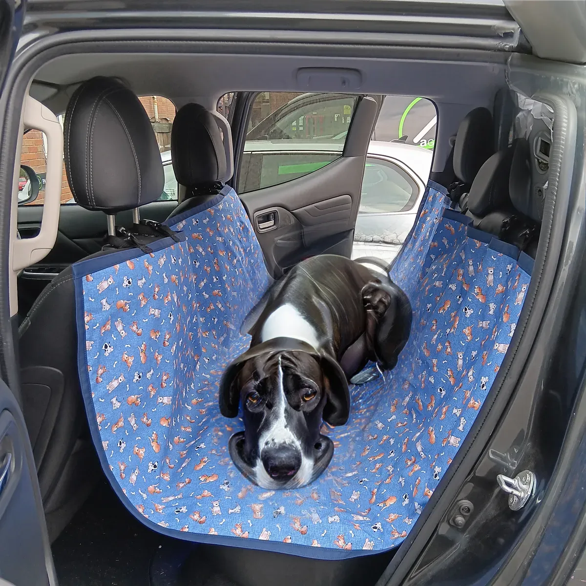 image-of-collie-on-blue-seat-cover-image thumbnail image