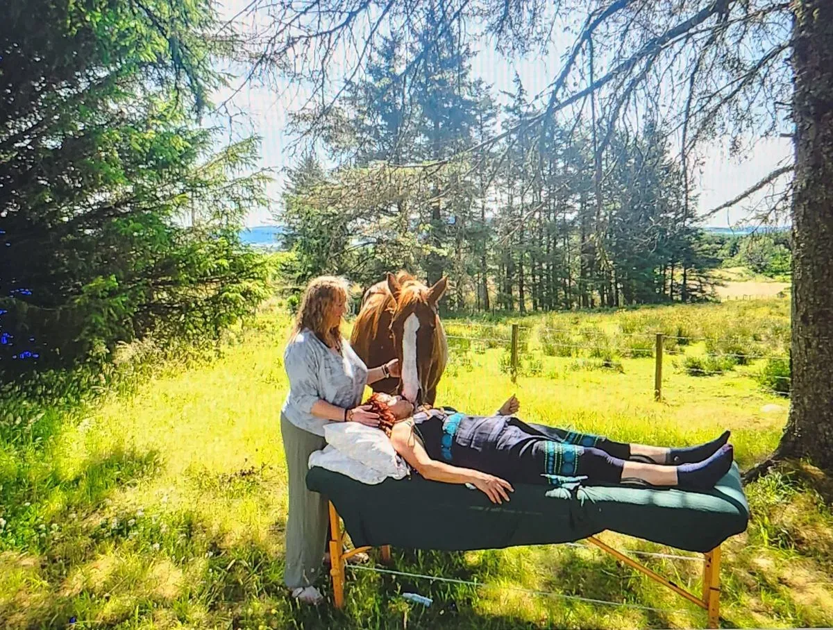 Individual Therapy Sessions image background image