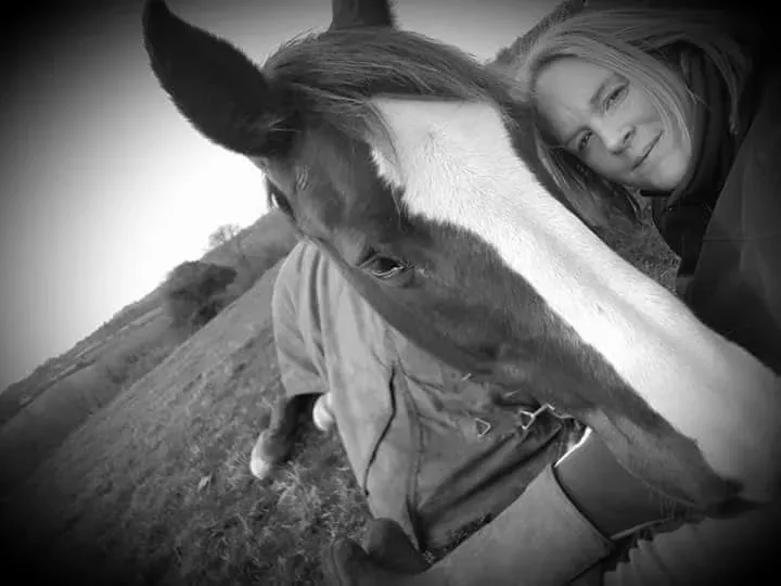 Equine Meditation image background image