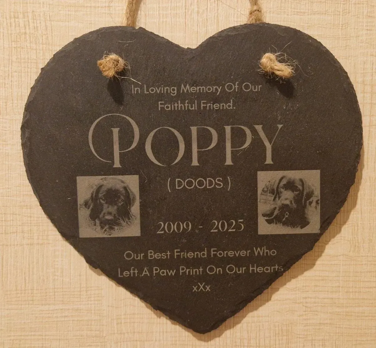 Poppy collection background image