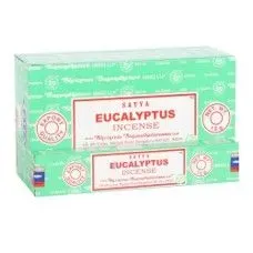 Eucalyptus thumbnail image