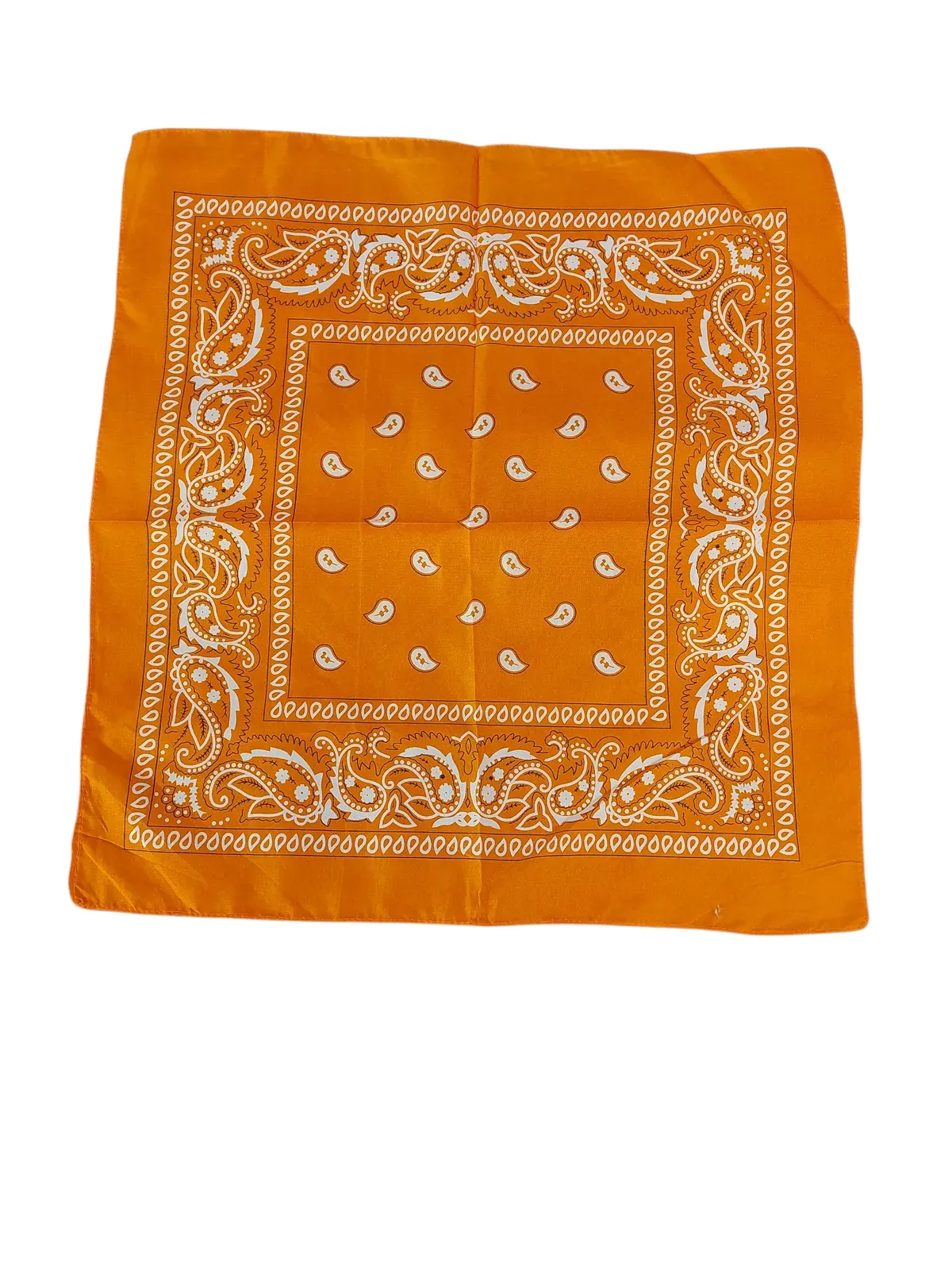 Orange thumbnail image