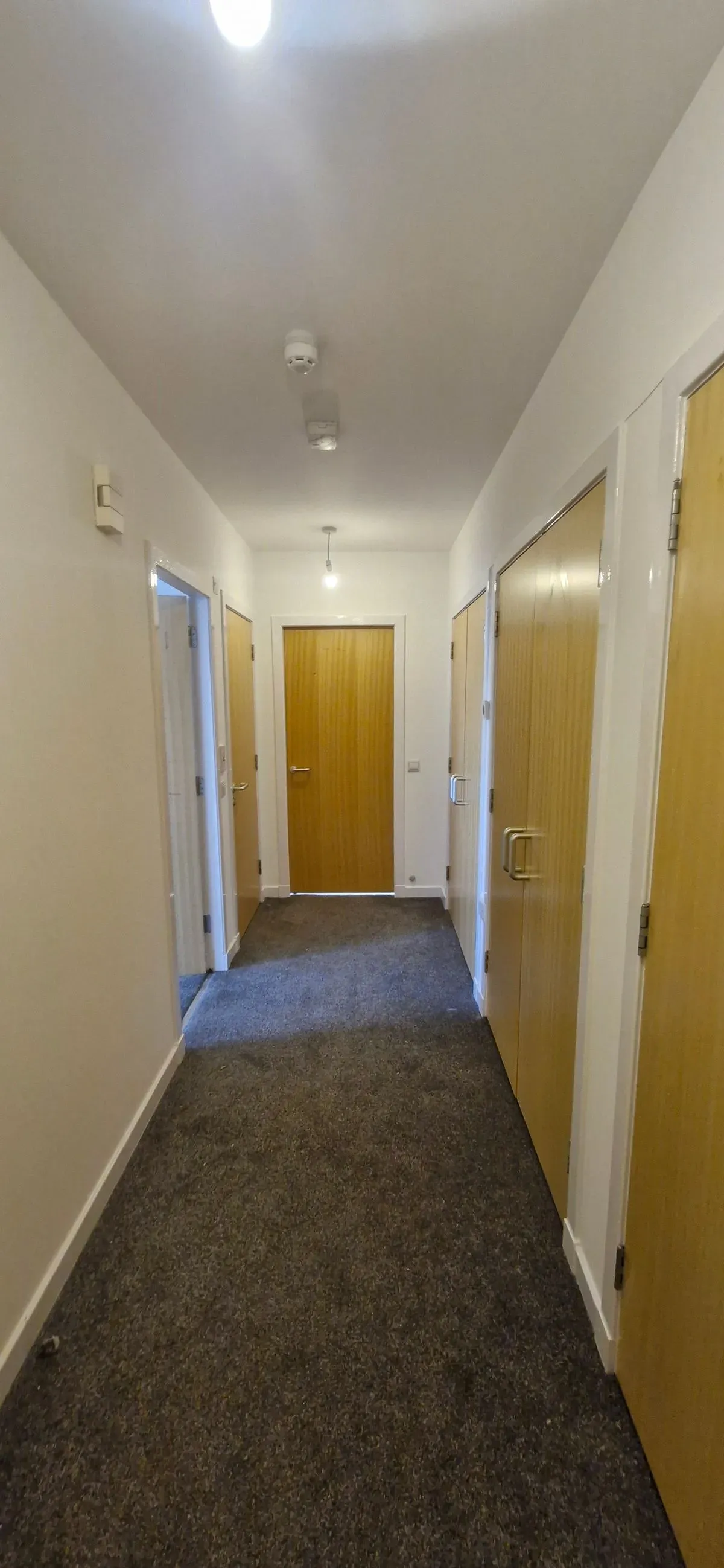 Descriptive text for the image