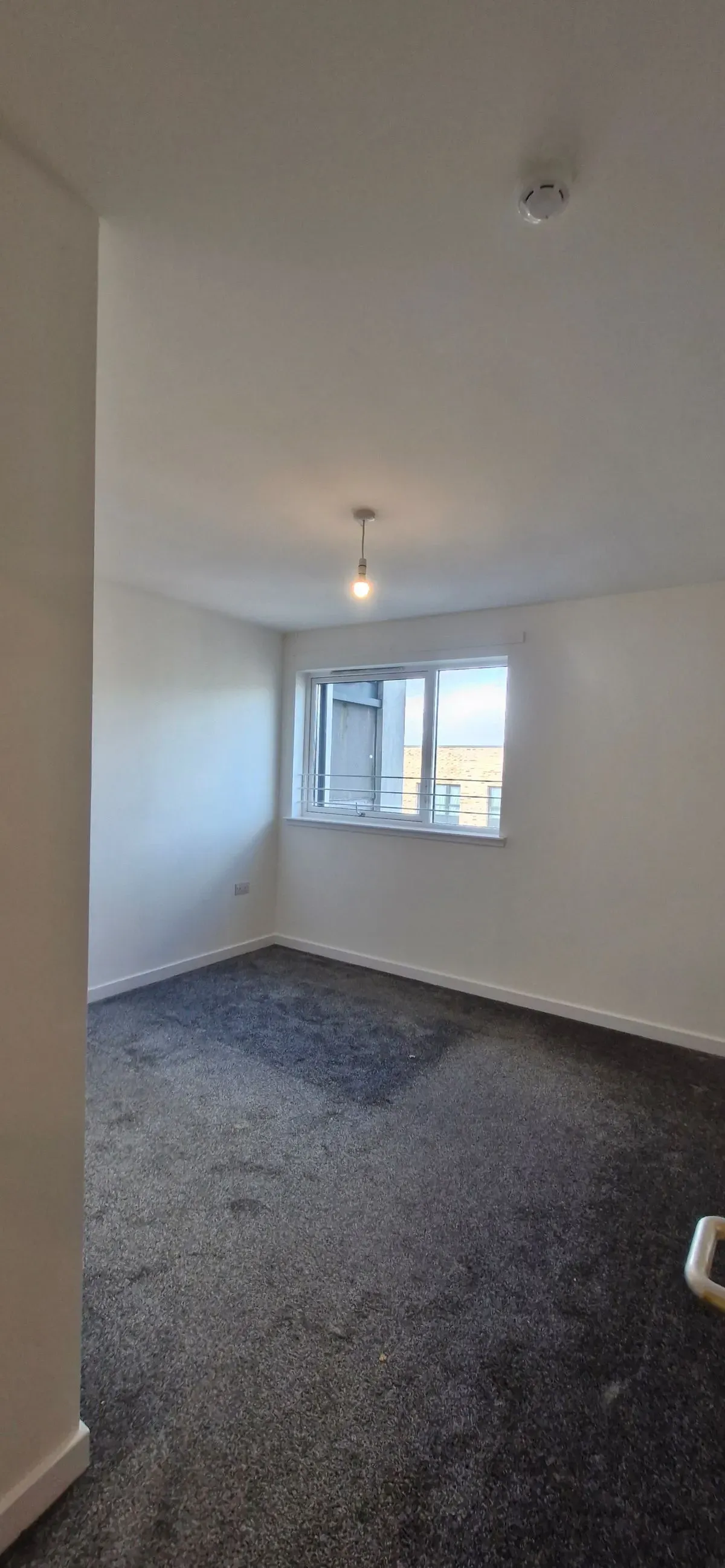 Descriptive text for the image