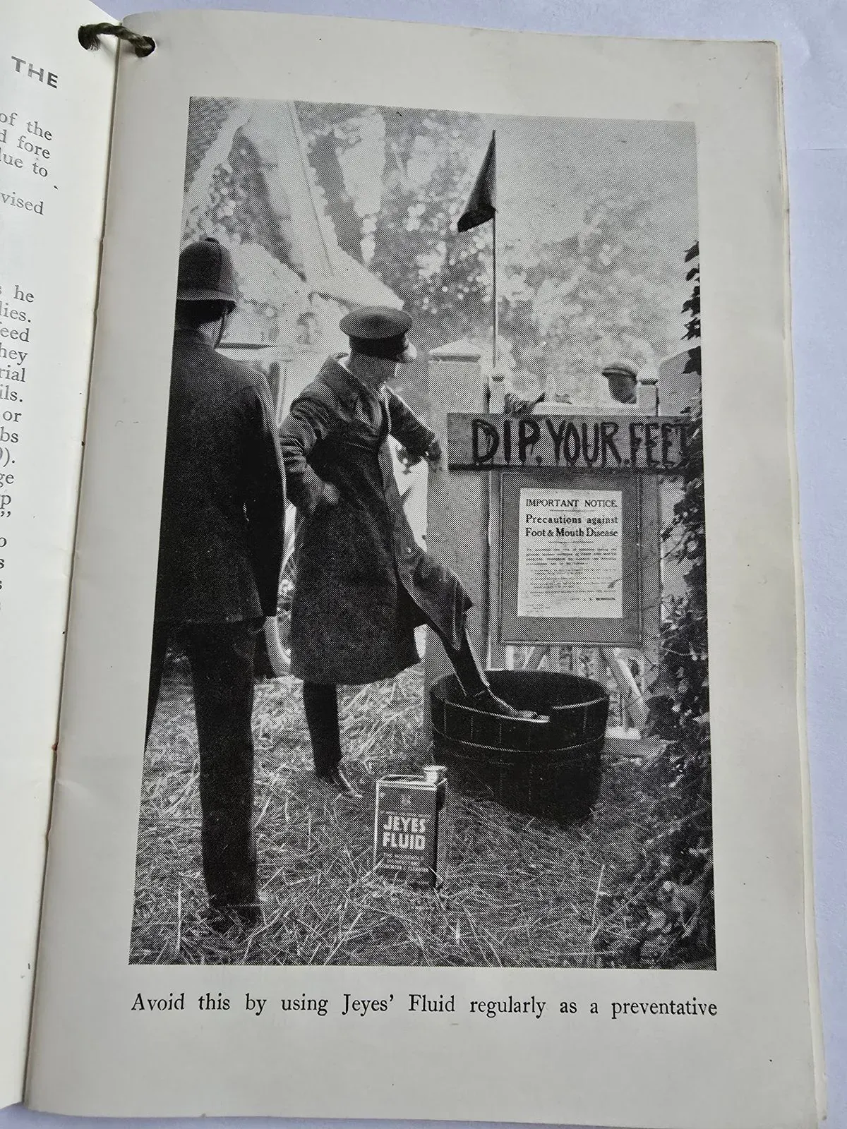 undefined thumbnail image