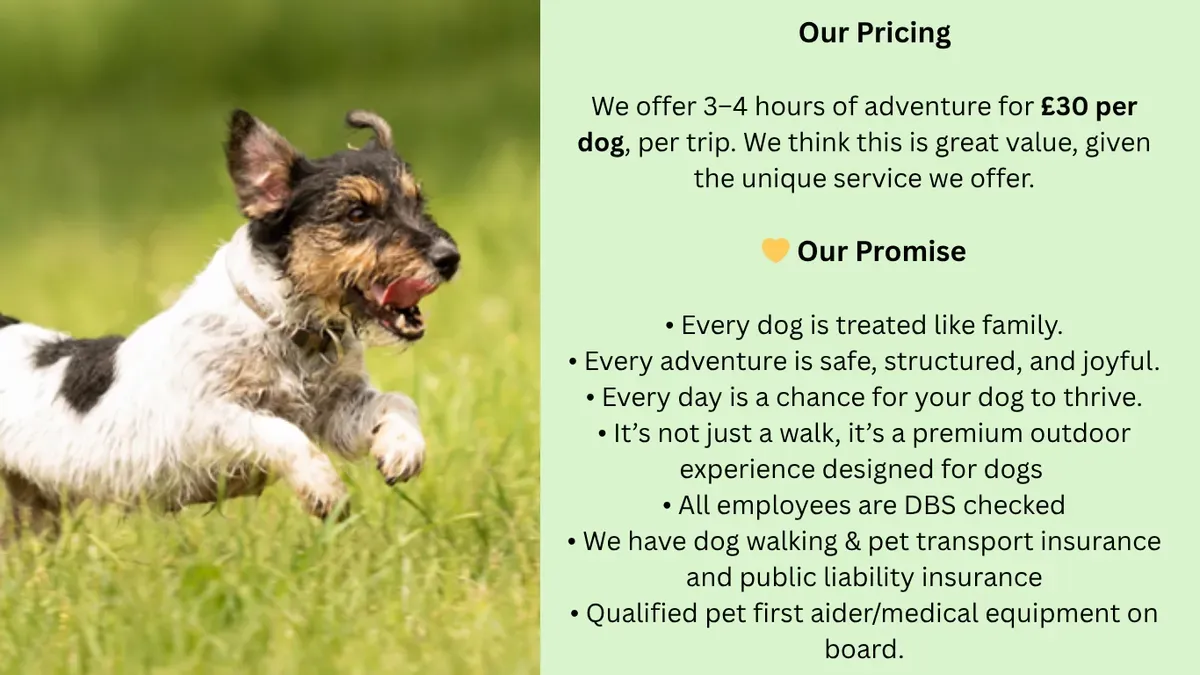 Descriptive text for the image