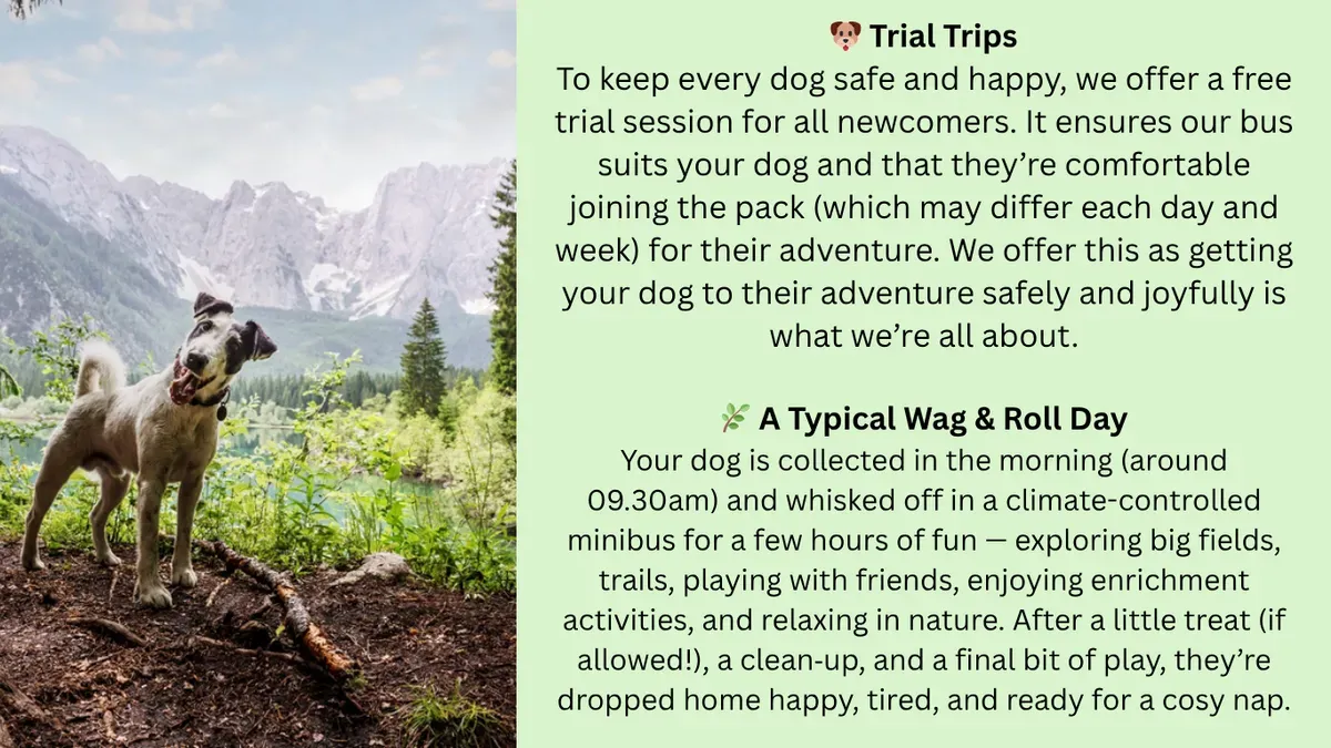 Descriptive text for the image