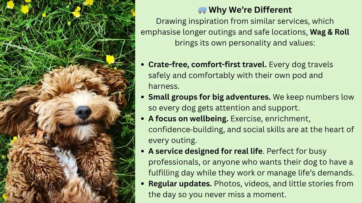 Descriptive text for the image